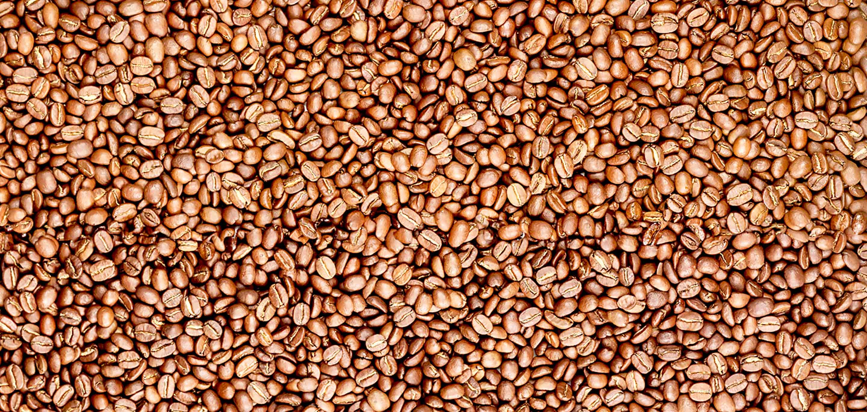 Light Roast Coffee Beans